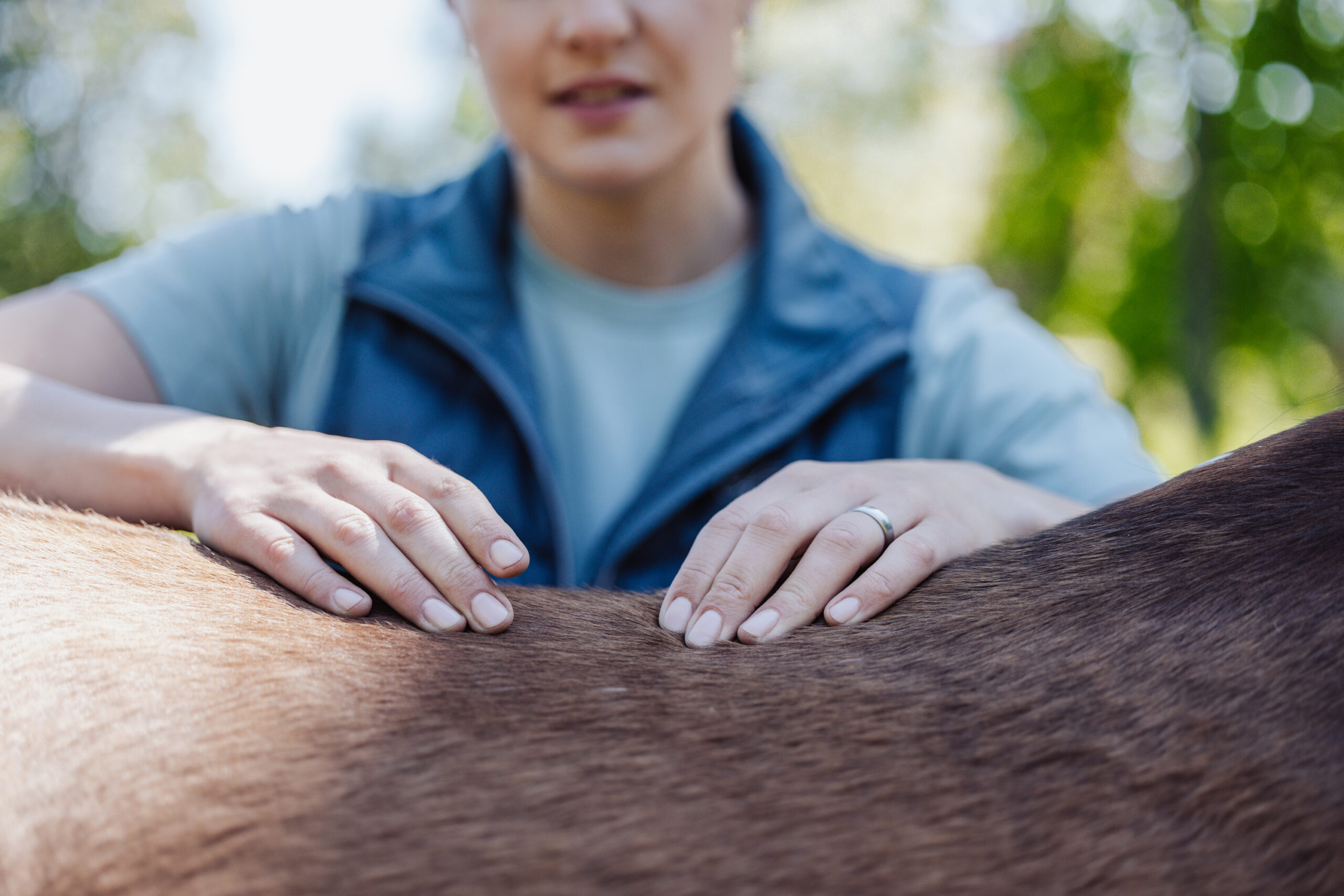 Fotoreportage für Tierphysiotherapie