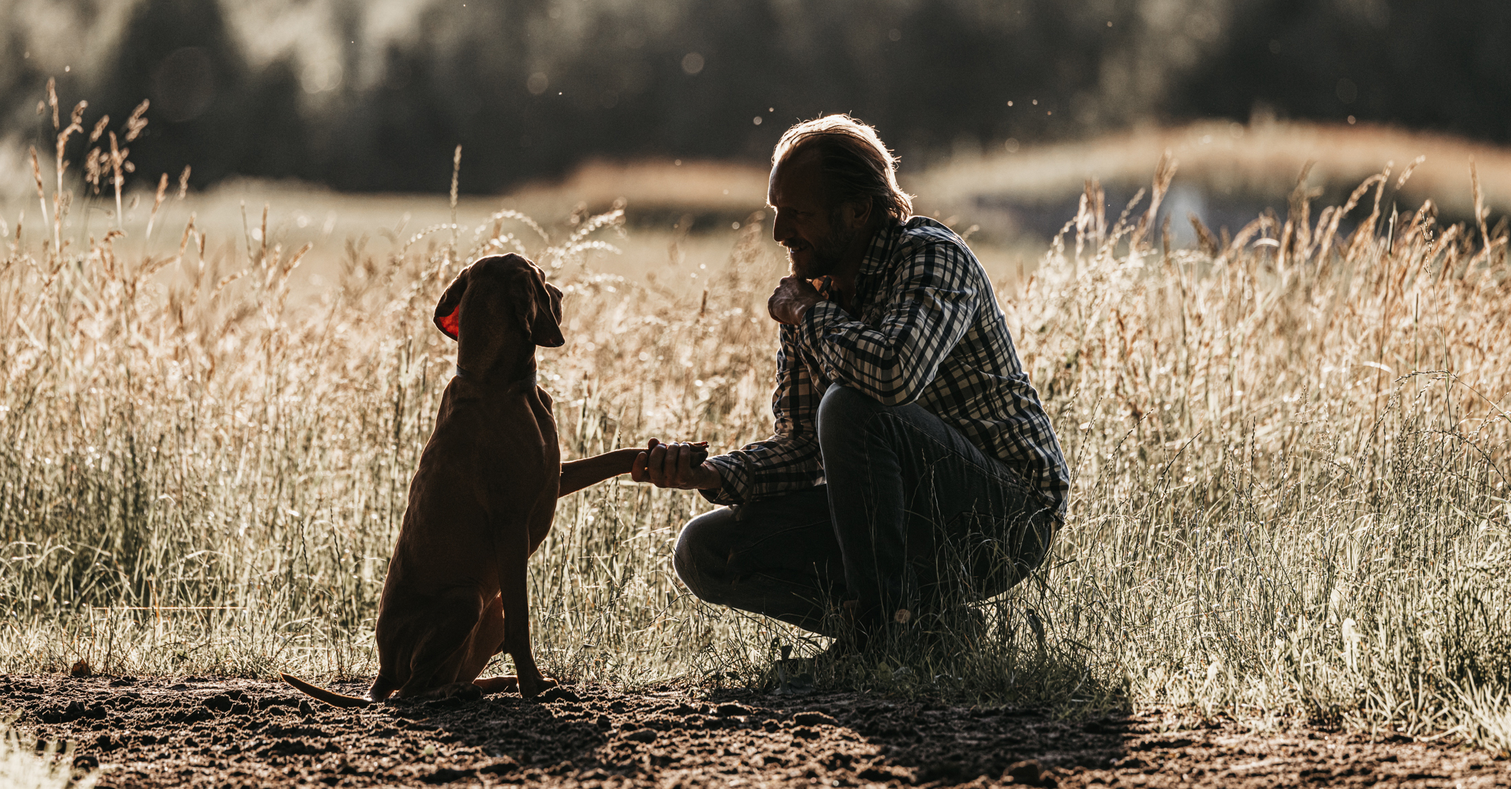 Hundefotografie Tangstedt – Emotionale Hundeshootings & Mini-Shootings