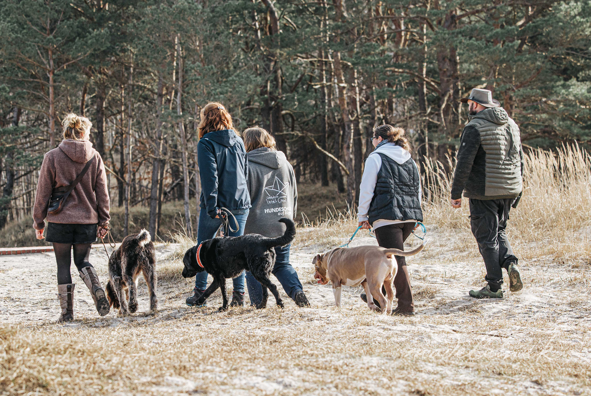 Hundefotowalk in Schleswig-Holstein & auf Rügen