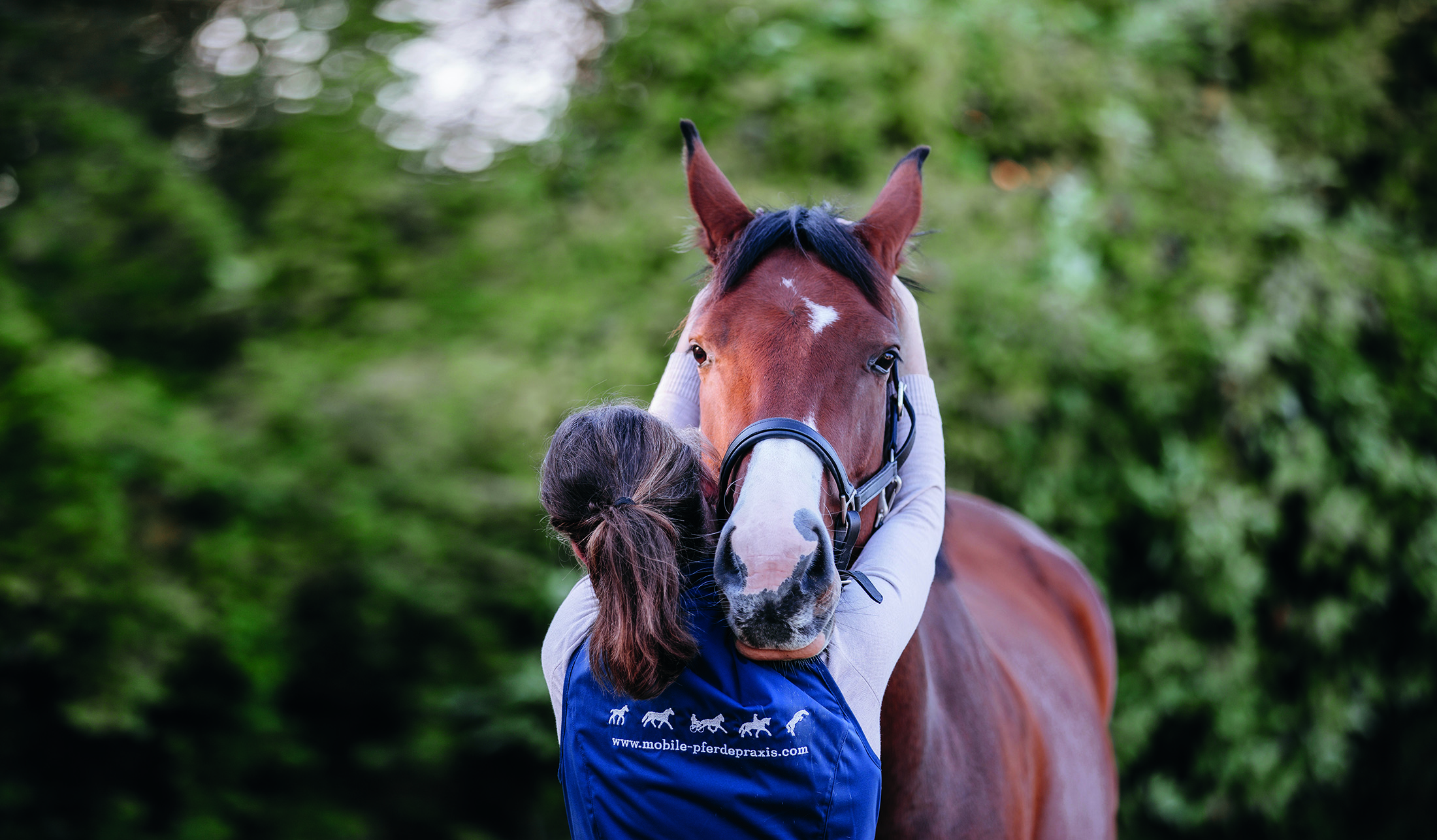 Im Einsatz für das Pferdewohl: Mobile Pferdepraxis hautnah im Bild