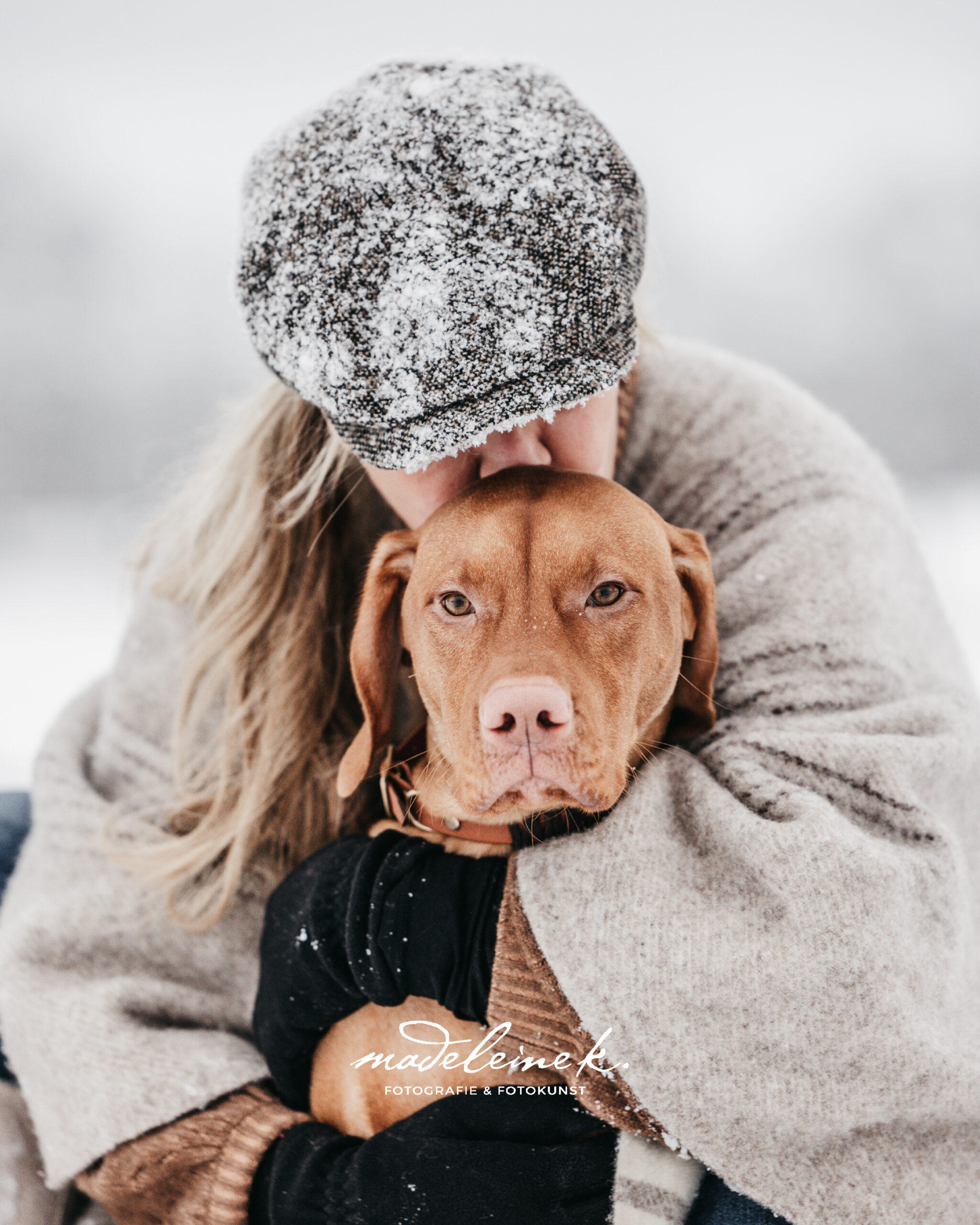 Exklusives Hundefotoshooting – nur du & dein Hund